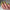 image_4778005b-8e07-4ec6-81e5-7dcdf0ac930a