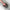 site_RBC_Sorbetto