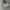image_809aff60-6879-4dbd-8396-f342ffd762a0