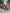 6414030601_w640_h640_6414030601