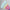 color-base-005-924792