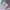 Frame-28-31_74400d8da8
