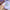 Bloomy 01 p-600×600