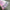 Twinkle_01-06_b3kwjh