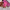 BIBLIOTEKA Gel Polish No. 67 Pop – Bright Classic Pink, 10 ml